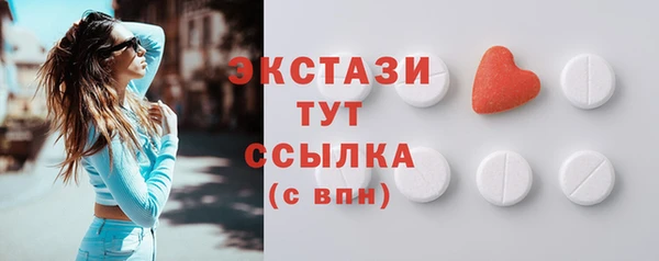 СК Алексин