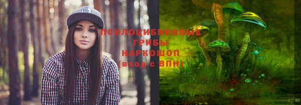 мдпв Каменногорск