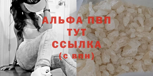 СК Алексин