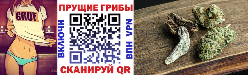 где продают   Асино  Галлюциногенные грибы прущие грибы 
