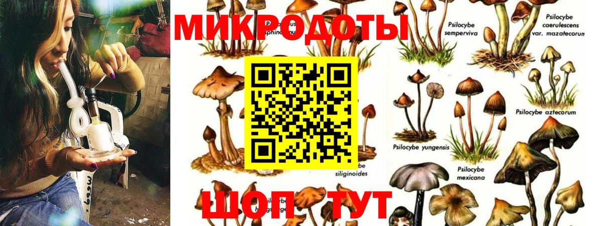 Асино  ГАШ  МАРИХУАНА  Вход с VPN  Мефедрон  