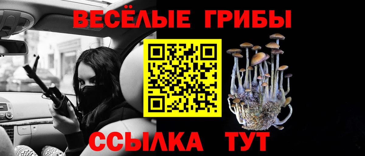 Псилоцибиновые грибы Magic Shrooms  продажа наркотиков  Асино  Вход с VPN 