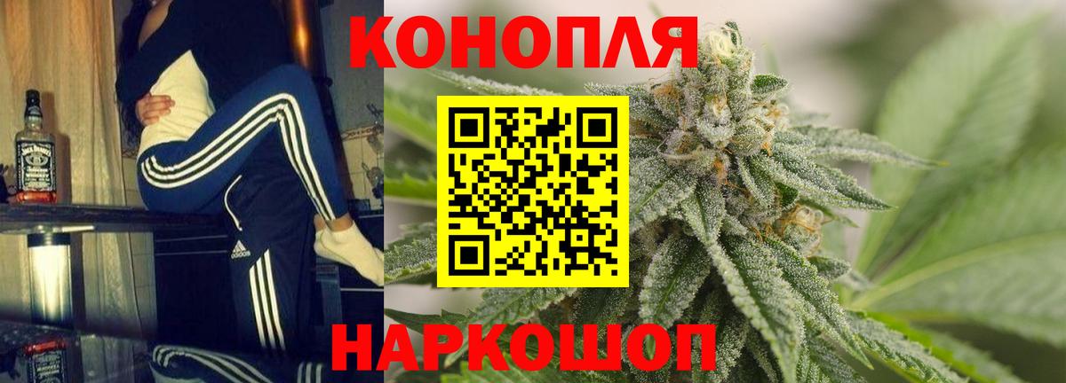 Конопля White Widow  Канабис планчик  МАРИХУАНА MAZAR  Вход с VPN  Асино 